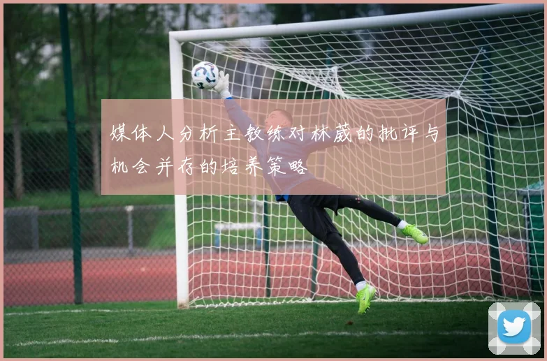 媒体人分析主教练对林葳的批评与机会并存的培养策略