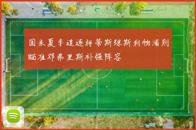 国米夏季追逐柯蒂斯琼斯利物浦则瞄准邓弗里斯补强阵容